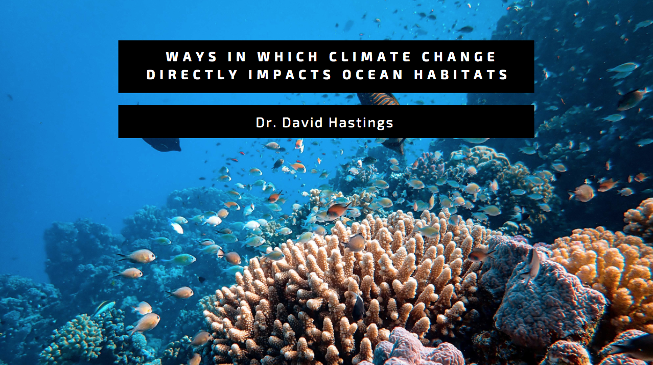 David Hastings: Ways In Which Climate Change Impacts Ocean Habitats